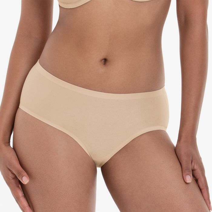 Anita Essential Hipster Briefs